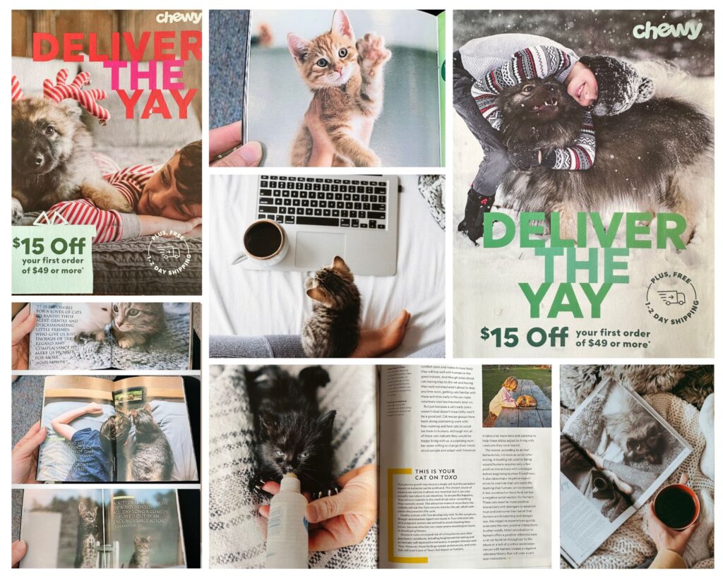 Melanie DeFazio's photography published in multiple magazines, and articles.