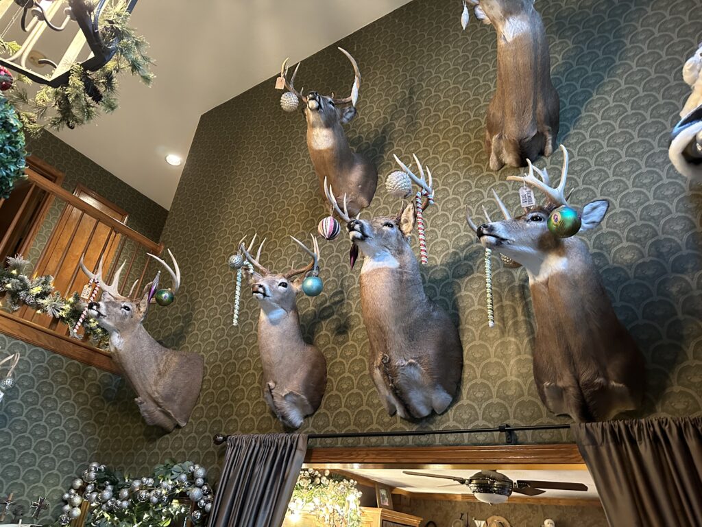 Custom deer mounts in the home of Laura Bee.